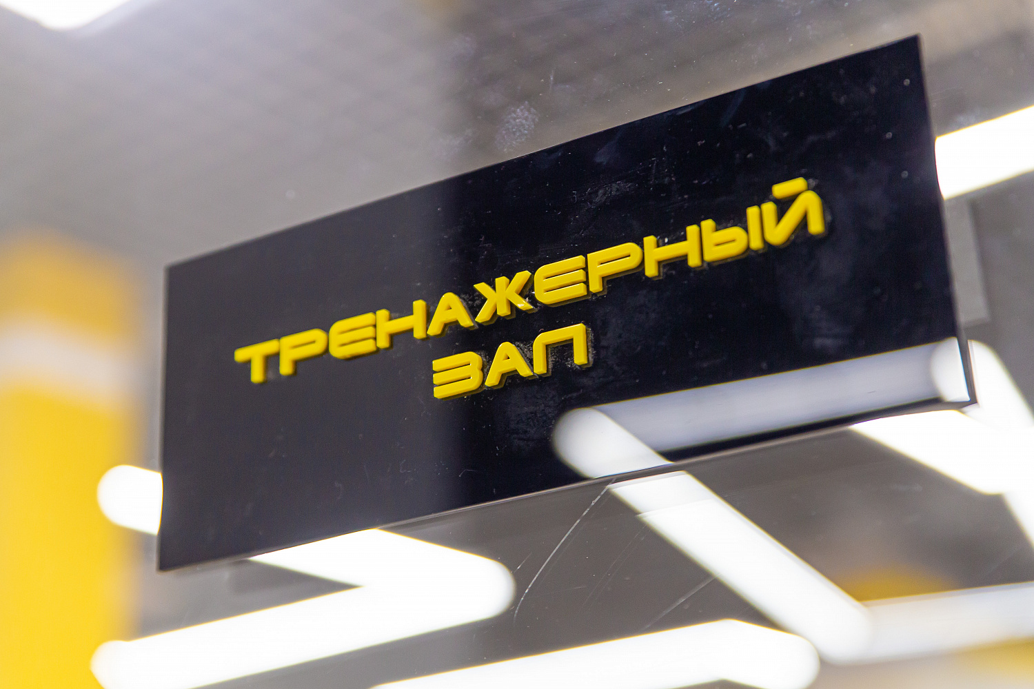 Фитнес-клуб "ALEXGYM"
